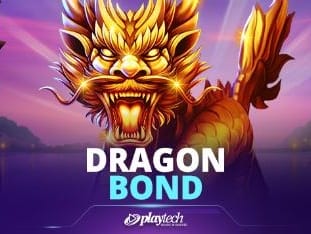 Dragon Bond game icon